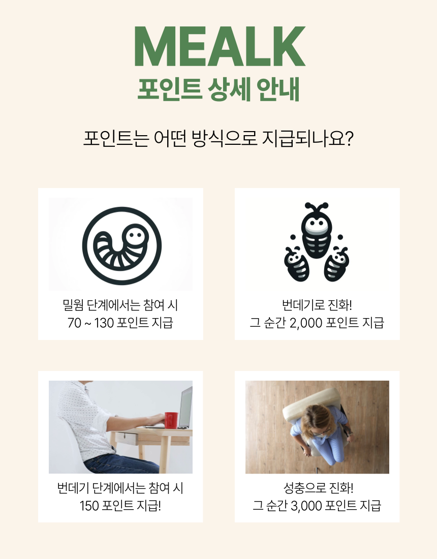 [무료배송] 나만의 미니 밀웜 키트 밀크-MEALK 7번째