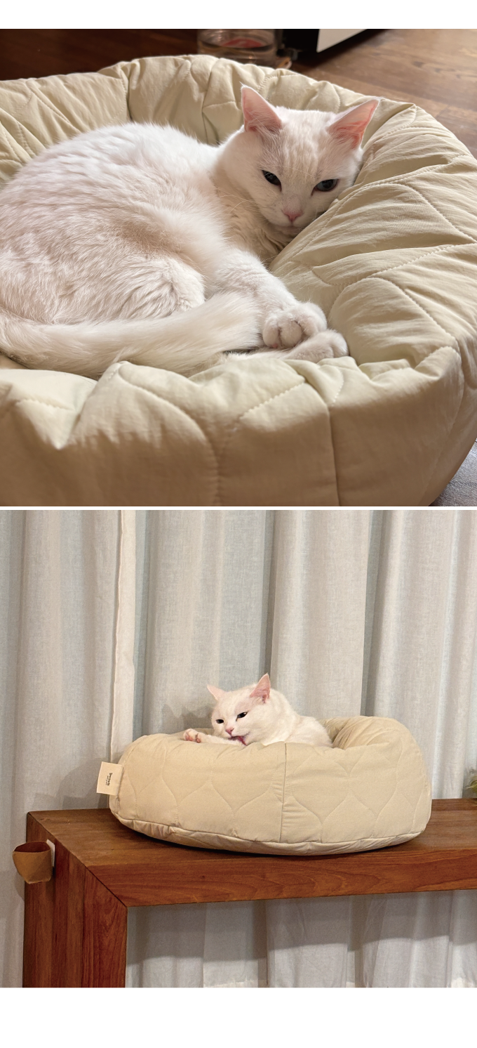 집에가야돼 고양이 누빔 빈백 6번째