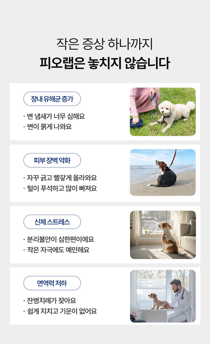 [NEW신상][무료배송] 피오랩 프로바이오틱스 장건강 영양제 30포 6번째