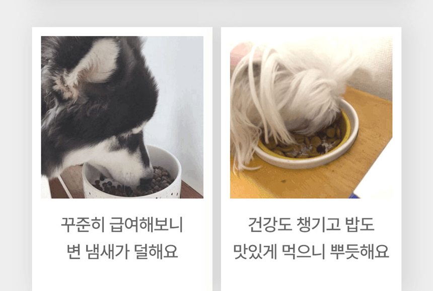 [NEW신상][무료배송] 피오랩 프로바이오틱스 장건강 영양제 30포 13번째