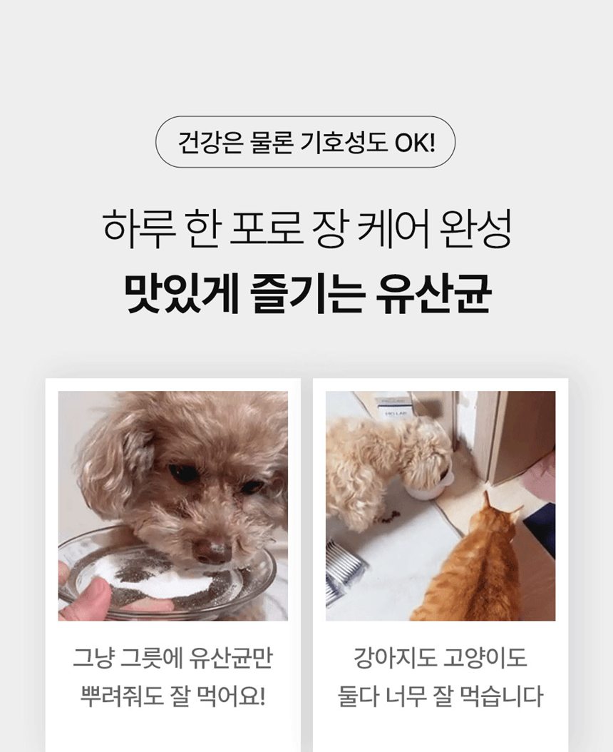 [NEW신상][무료배송] 피오랩 프로바이오틱스 장건강 영양제 30포 12번째