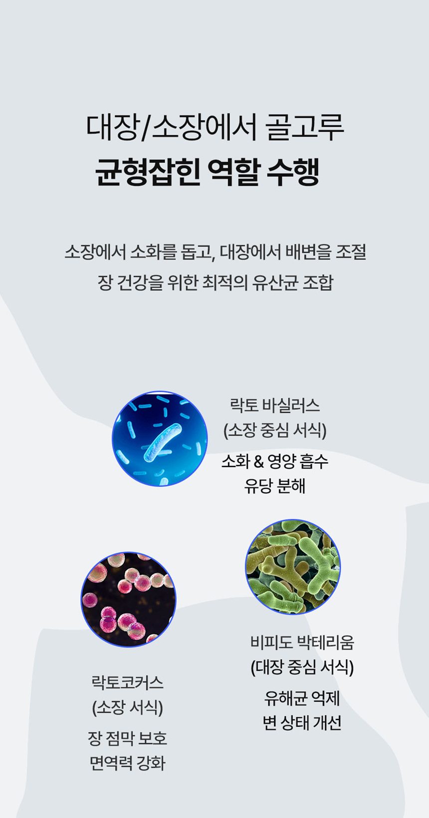[NEW신상][무료배송] 피오랩 프로바이오틱스 장건강 영양제 30포 11번째