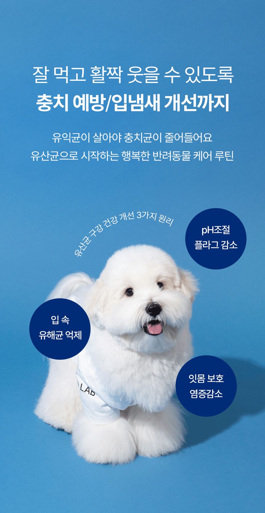 [NEW신상][무료배송] 피오랩 프로바이오틱스 장건강 영양제 30포 16번째