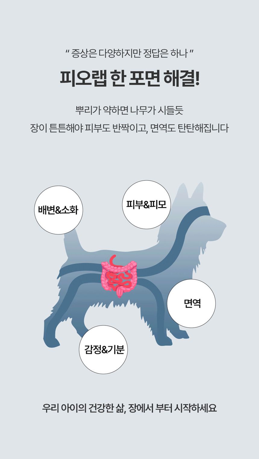 [NEW신상][무료배송] 피오랩 프로바이오틱스 장건강 영양제 30포 7번째