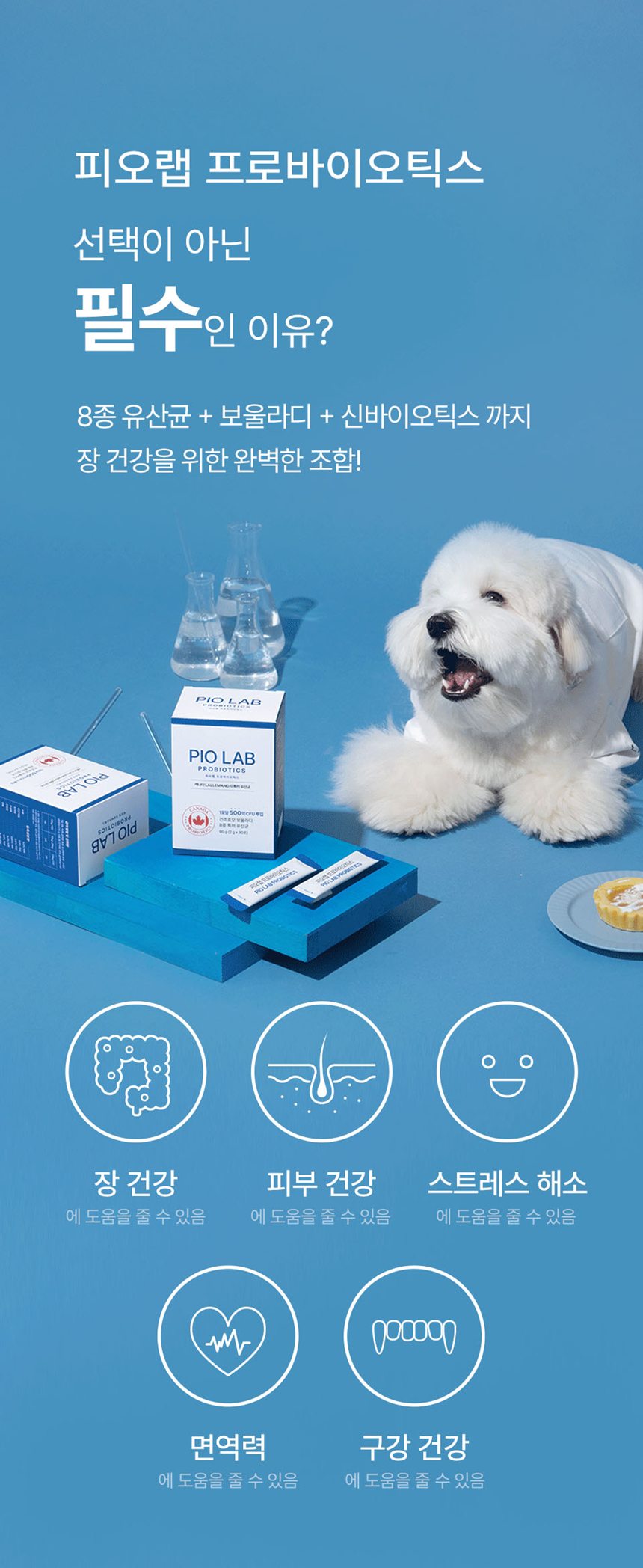 [NEW신상][무료배송] 피오랩 프로바이오틱스 장건강 영양제 30포 3번째