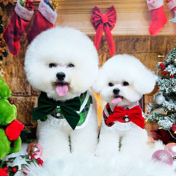 [NEW신상][무료배송] 리치독스 크리스마스 망토 레이스 케이프 그린 5번째