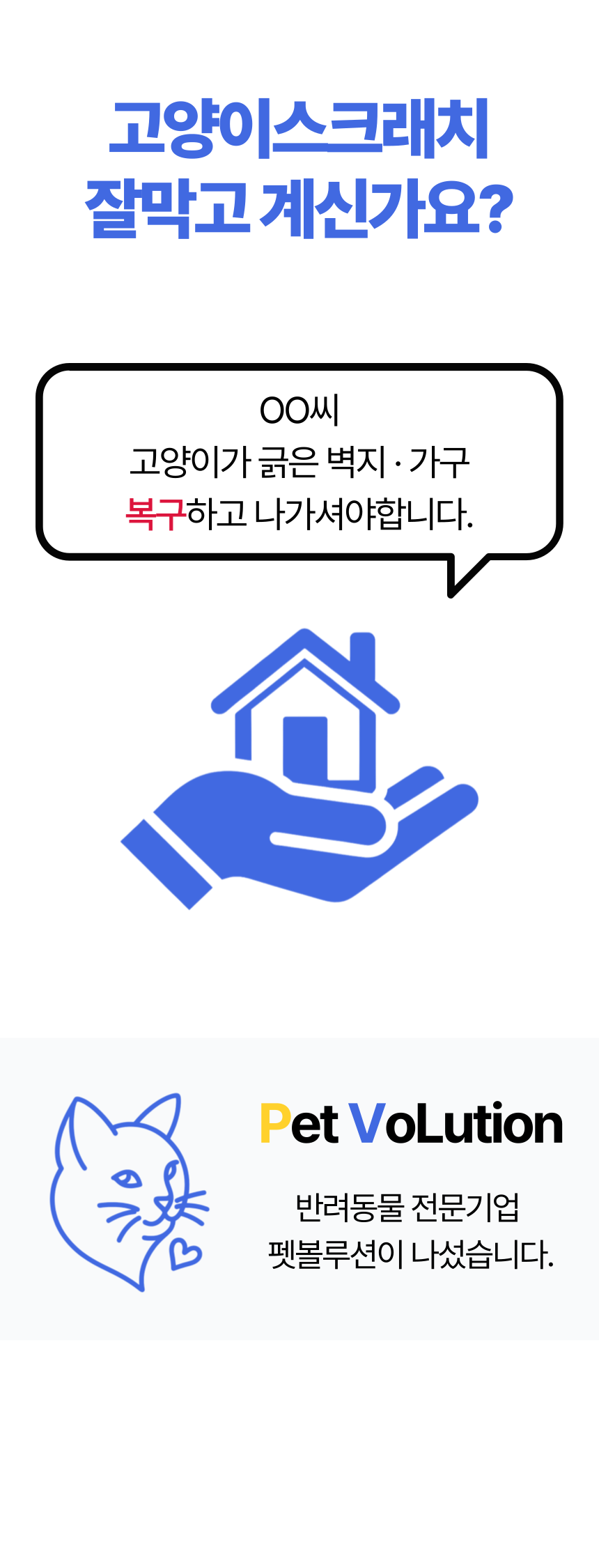 [무료배송] 알뜰펫 스크래치 보호필름 1m 1번째