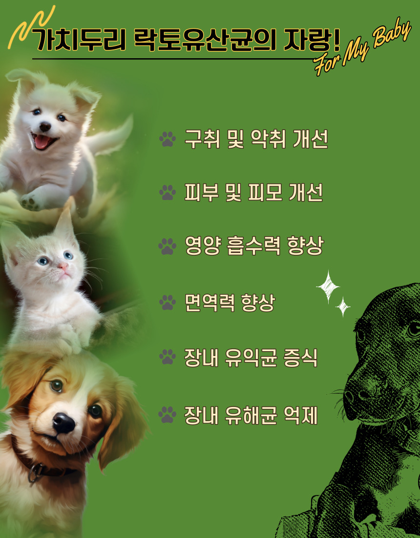 [무료배송] 가치두리 락토 생 유산균 분말 50g  4번째