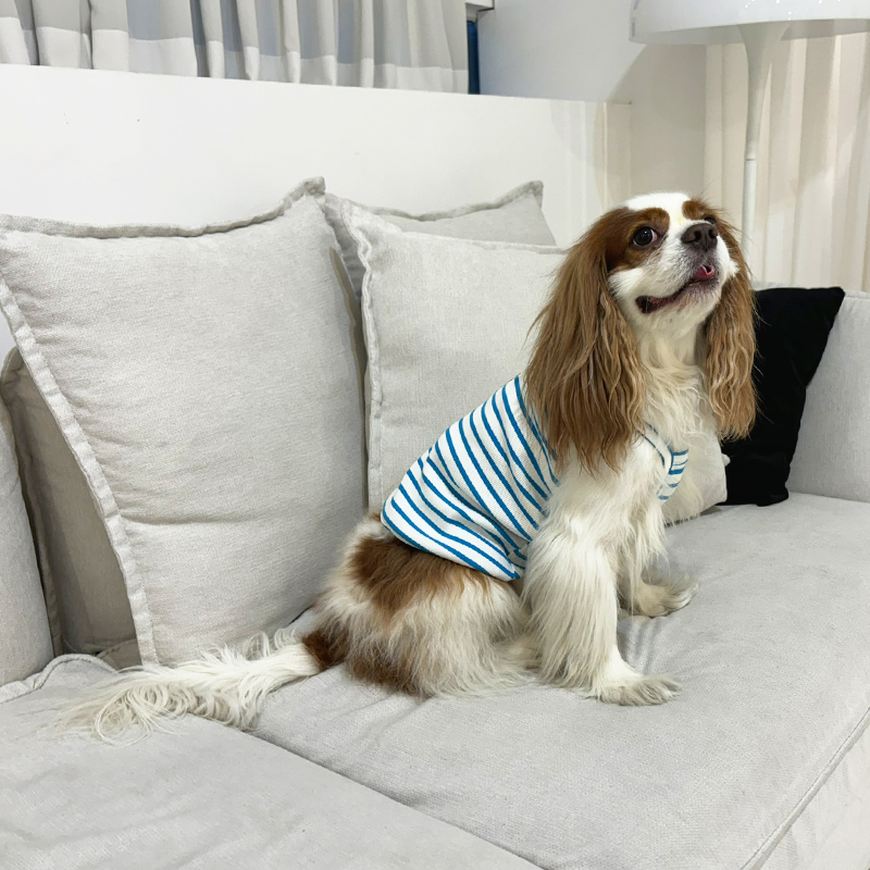 [무료배송] 해피댕댕 아이스크림나시 S - 2XL 8번째