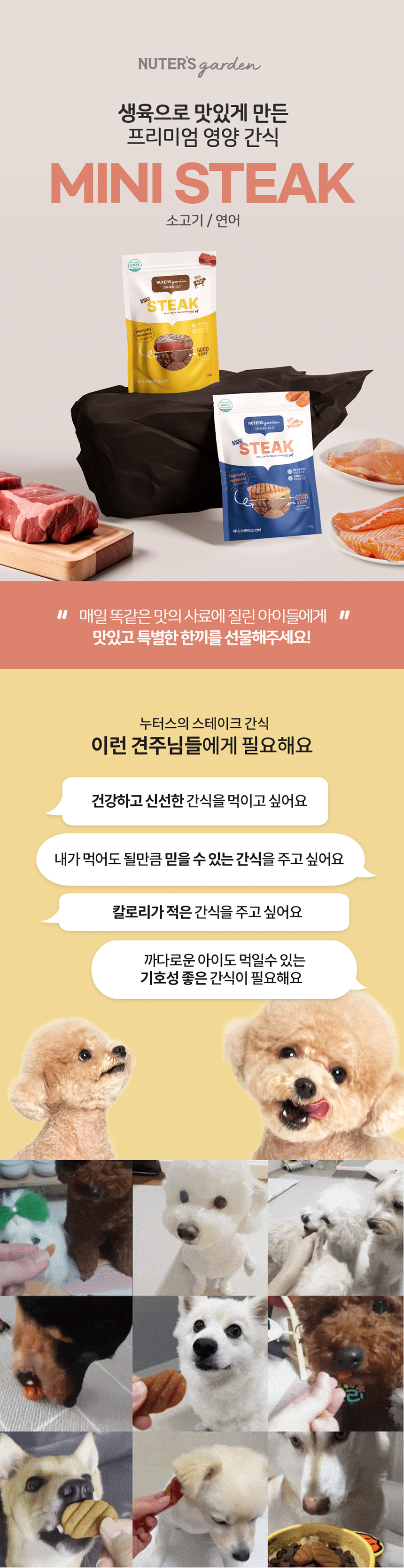 [무료배송] 누터스가든 디너아웃 미니스테이크 (소고기/연어) 150g x 2개 강아지간식 1번째