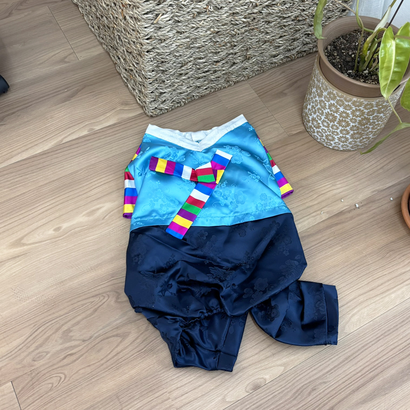 [무료배송] 해피댕댕 색동저고리 S-2XL 22번째