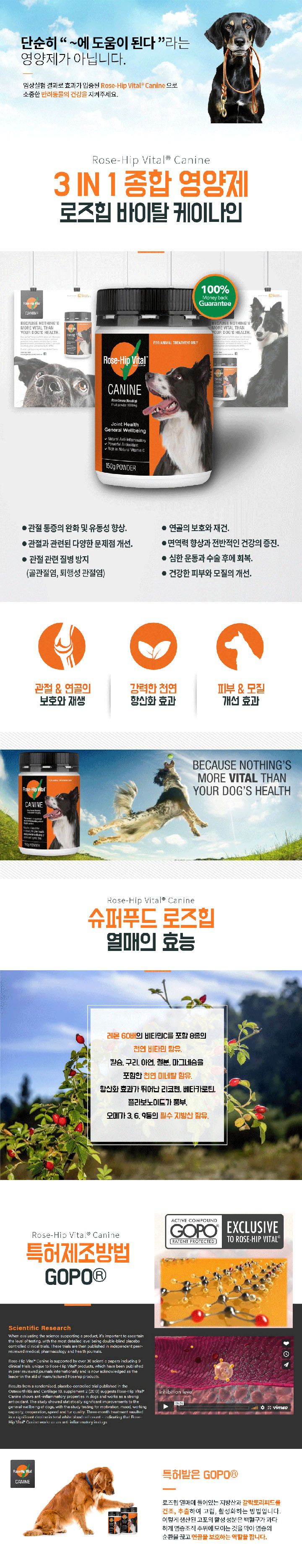 로즈힙 바이탈 독 케이나인 종합영양제 150g 1번째