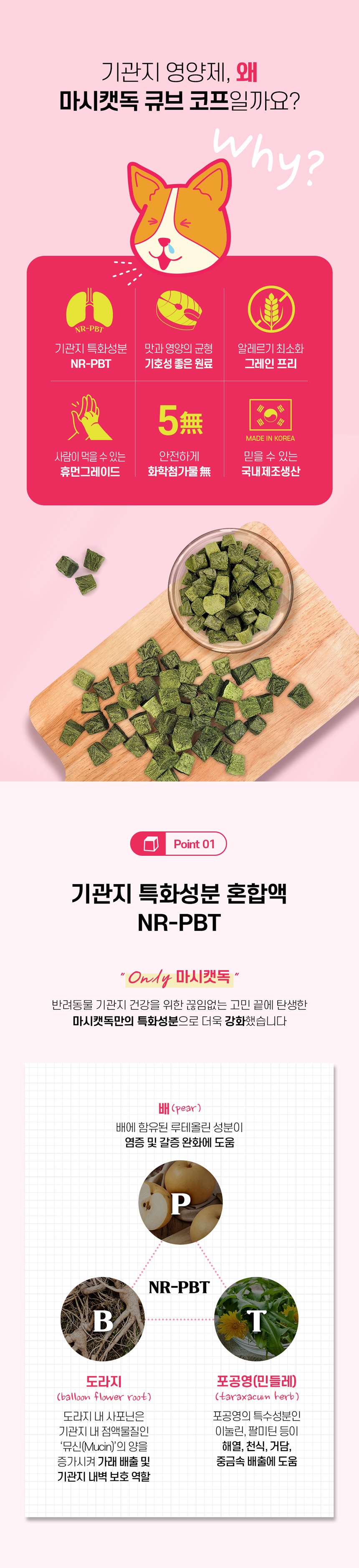 [NEW신상][무료배송] 마시캣독 큐브 코프 50g 기관지/호흡기 관리 5번째