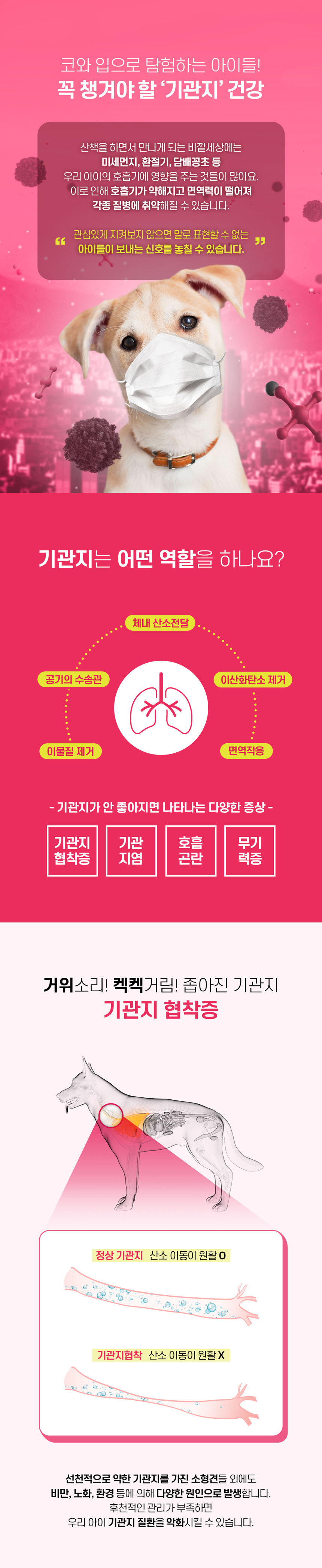 [NEW신상][무료배송] 마시캣독 큐브 코프 50g 기관지/호흡기 관리 4번째