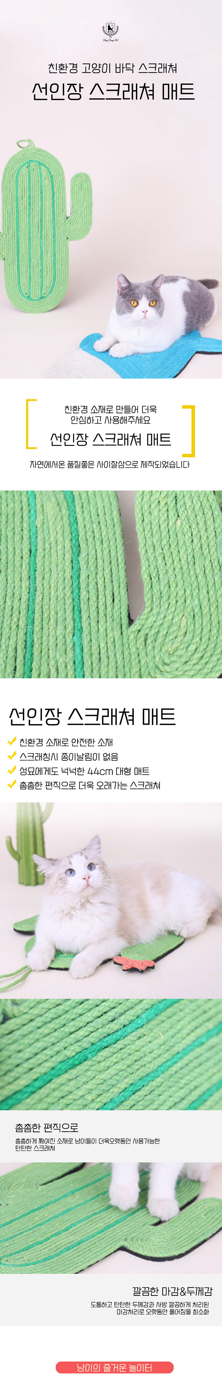 [무료배송] 딩동펫 고양이 스크래쳐 매트 선인장 2번째