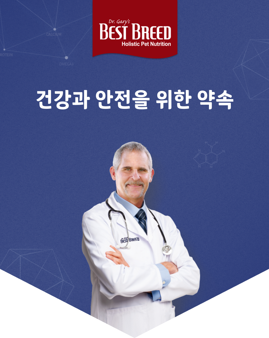 [NEW신상]베스트브리드 홀리스틱 퍼피 다이어트 1.8kg 4번째