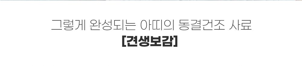 [무료배송] 아띠지기 독 견생보감 동결건조사료 연어편 10g*14개 9번째