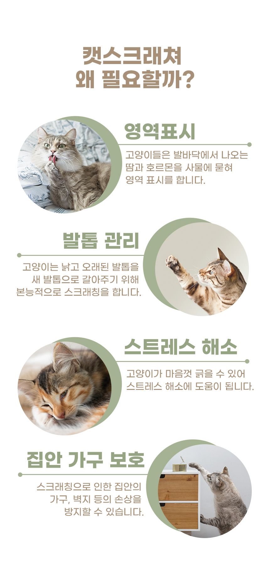 내꼬냥 양면 스크래쳐 (일반/대형) 4번째