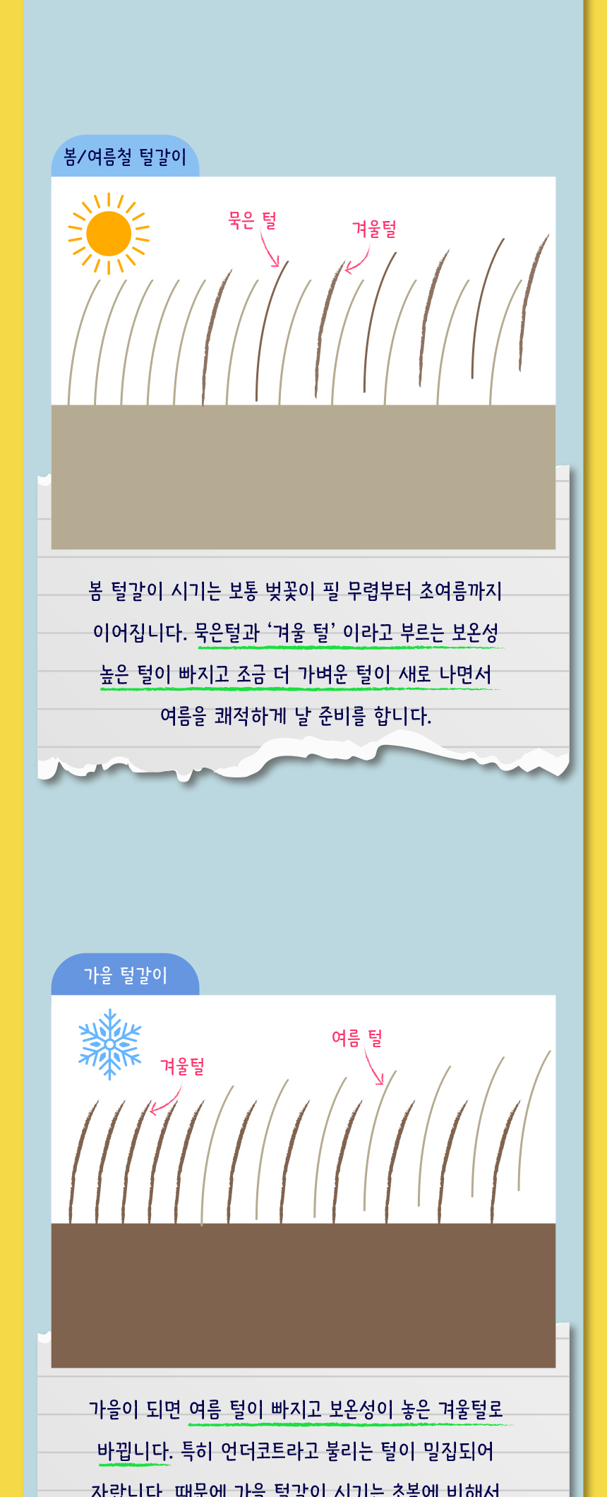 [무료배송] 애구애구 털청소기 반영구 병아리돌돌이 9번째