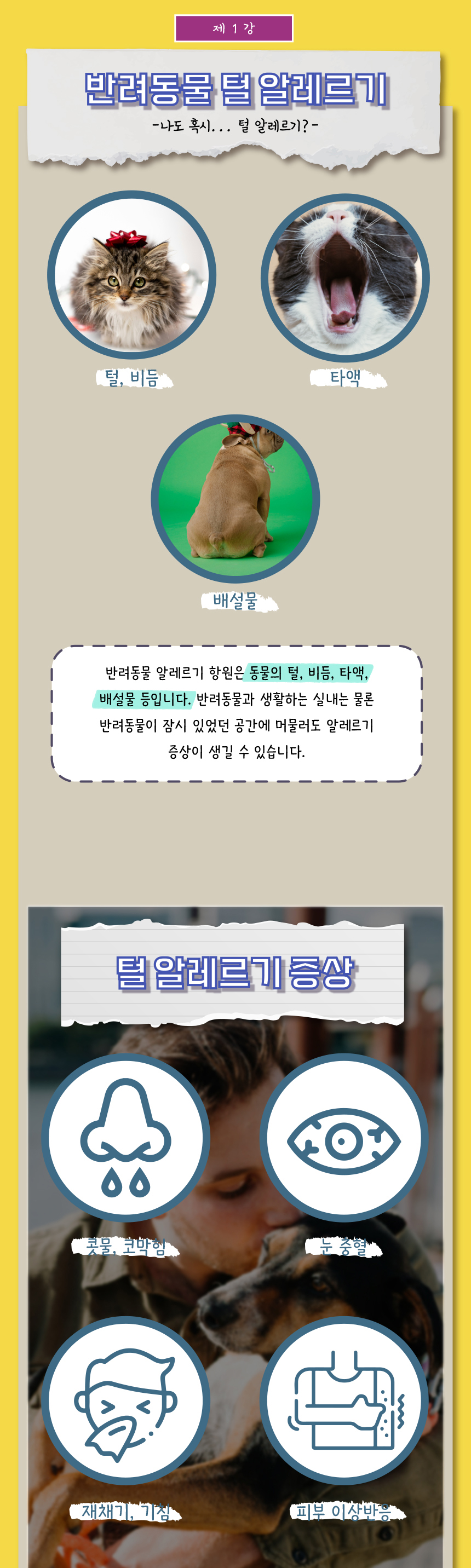 [무료배송] 애구애구 털청소기 반영구 병아리돌돌이 7번째