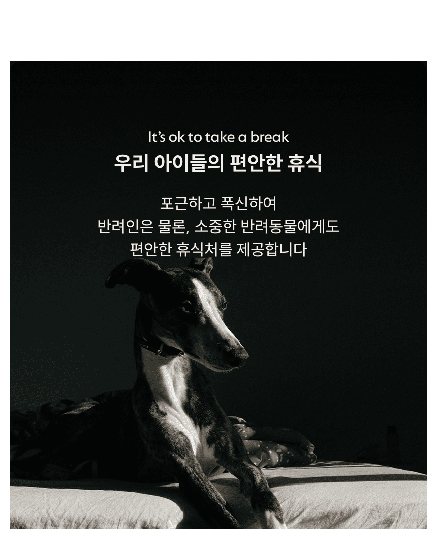 [NEW신상][무료배송] 체고케어 실렌시아 잔디 러그 인테리어 거실 카페트 사각/원형 15번째