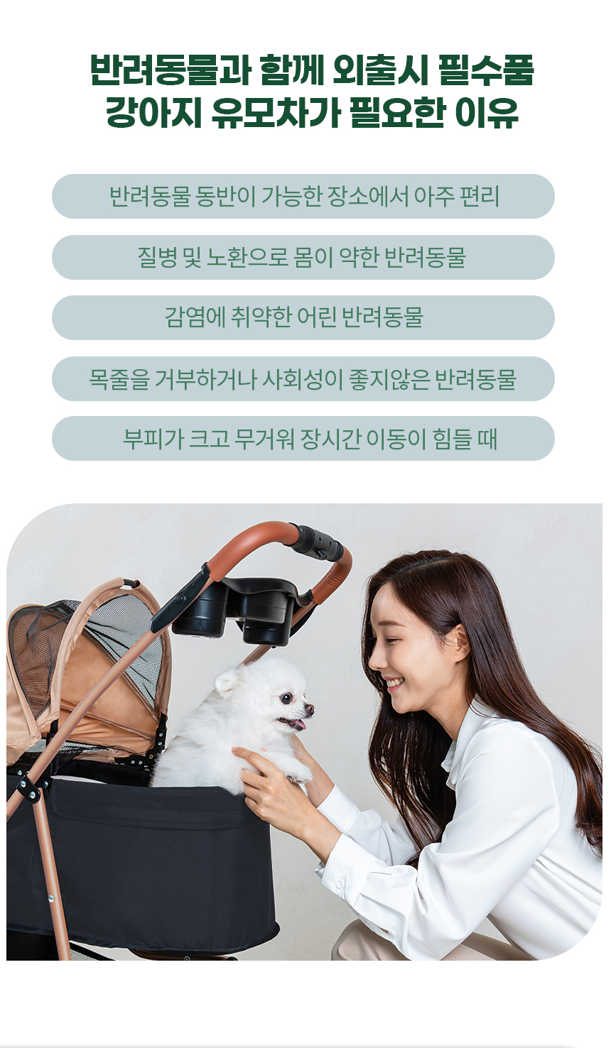 [무료배송] 레토 반려동물 퀵폴딩 초경량 유모차 5번째
