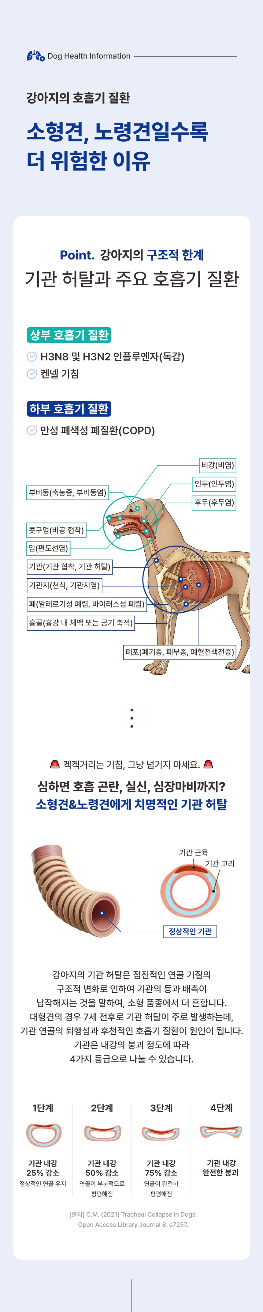 [무료배송] 브랜바인 독 레스피라토리 가디언 기관지 영양제 90일분 4번째