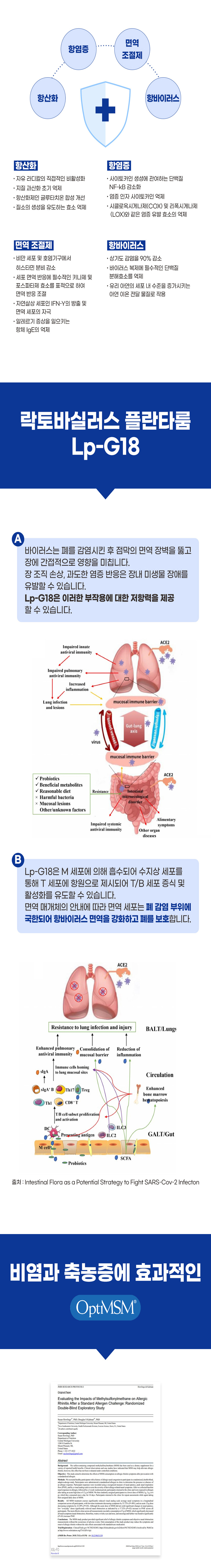 [무료배송] 브랜바인 독 레스피라토리 가디언 기관지 영양제 90일분 6번째