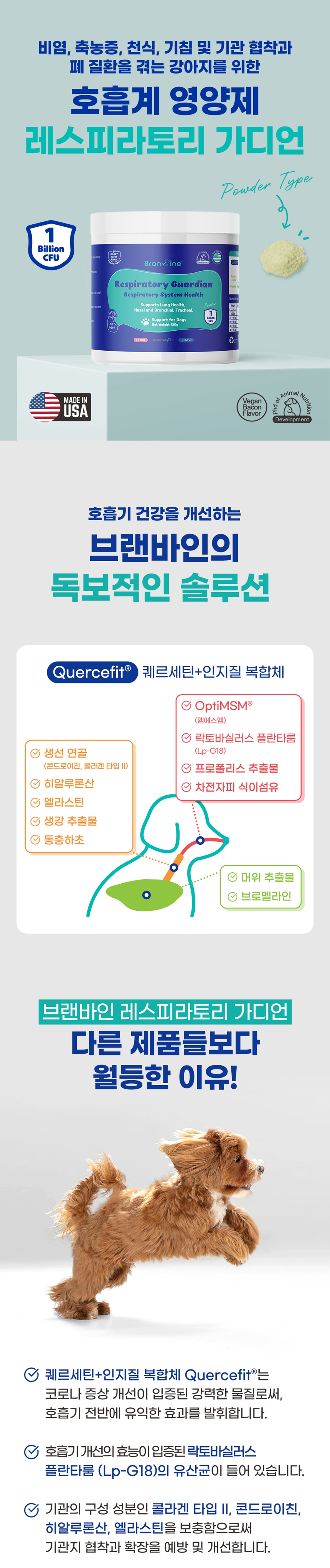 [무료배송] 브랜바인 독 레스피라토리 가디언 기관지 영양제 90일분 3번째