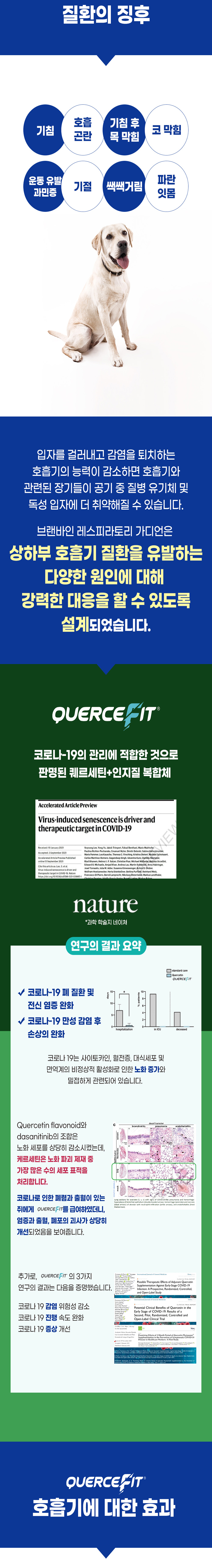 [무료배송] 브랜바인 독 레스피라토리 가디언 기관지 영양제 90일분 5번째