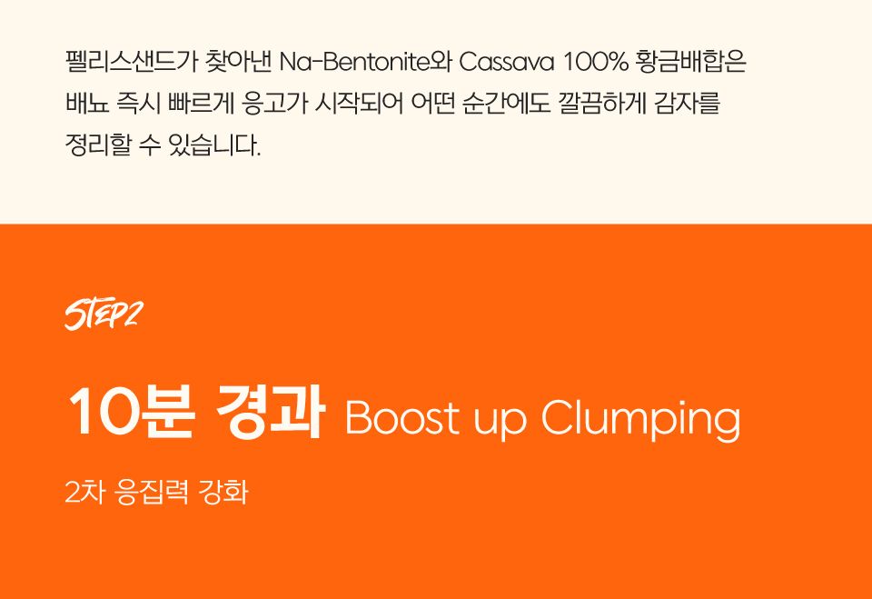 닥터펠리스 캣 펠리스샌드 하드볼 레시피 4.3kg 20번째