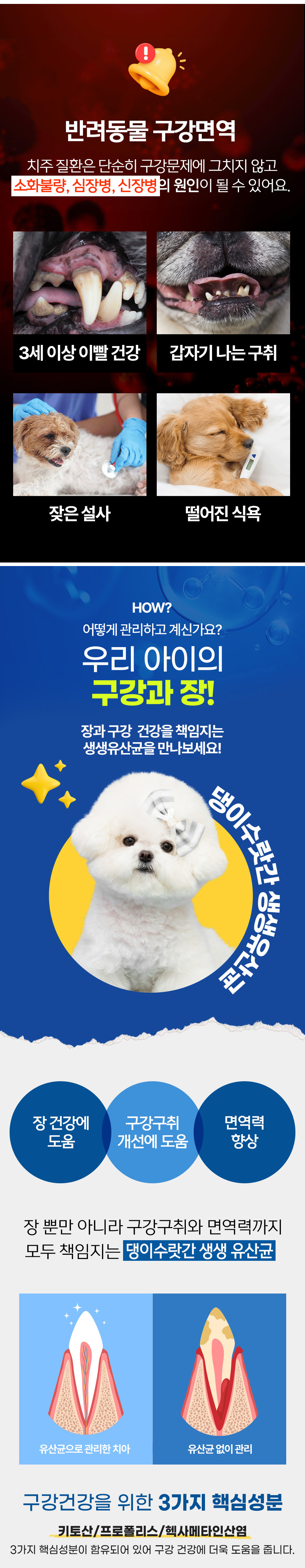 [무료배송] 댕이수랏간 생생유산균 70g 8번째