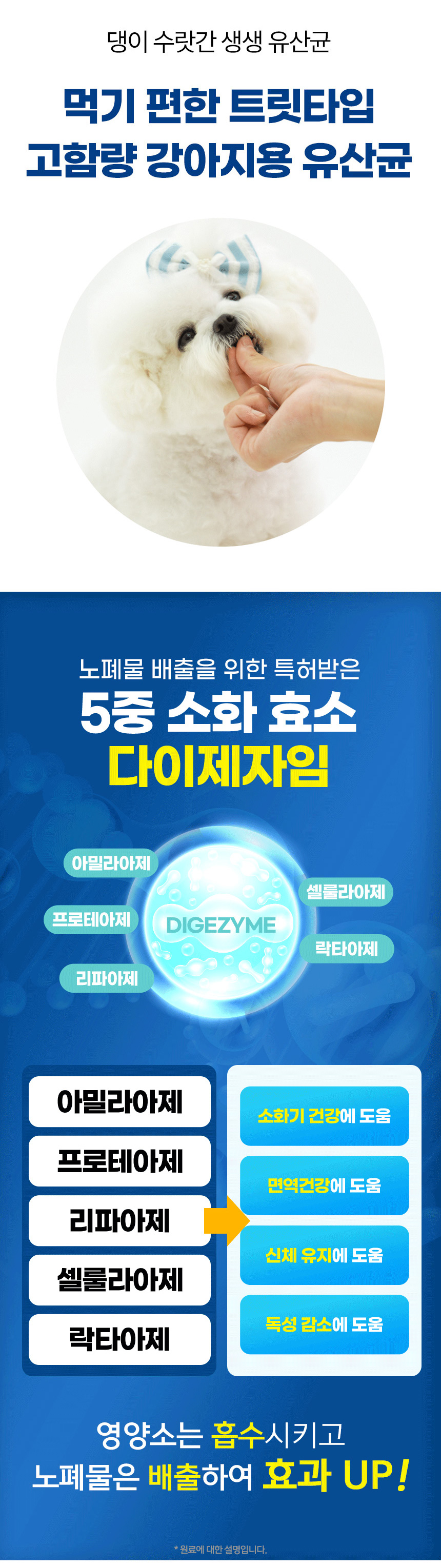 [무료배송] 댕이수랏간 생생유산균 70g 12번째