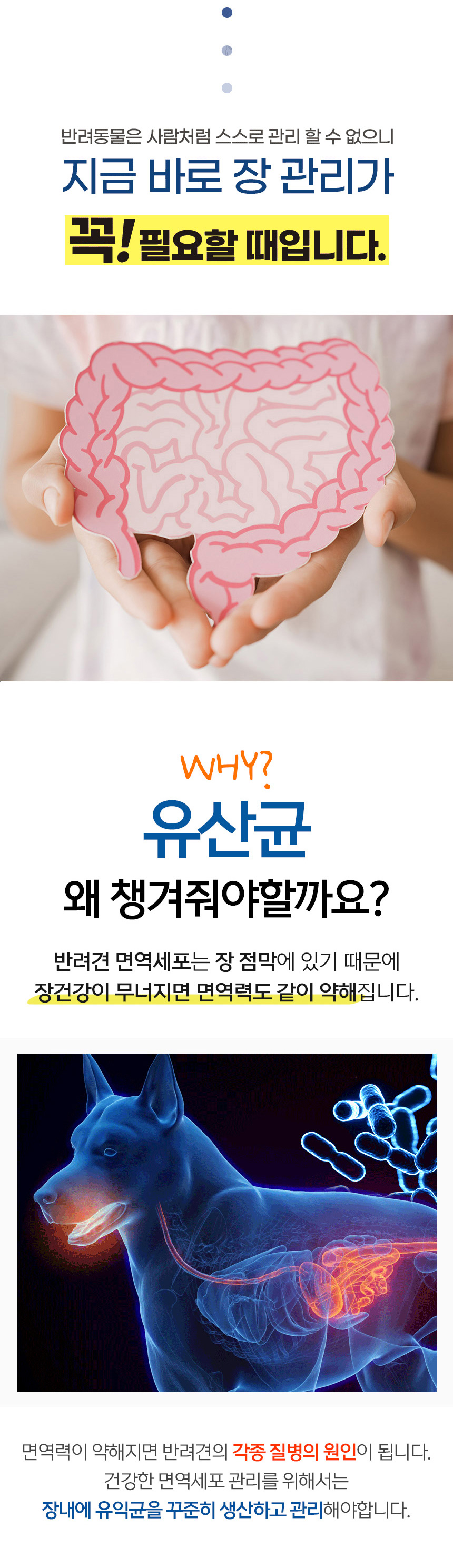 [무료배송] 댕이수랏간 생생유산균 70g 7번째