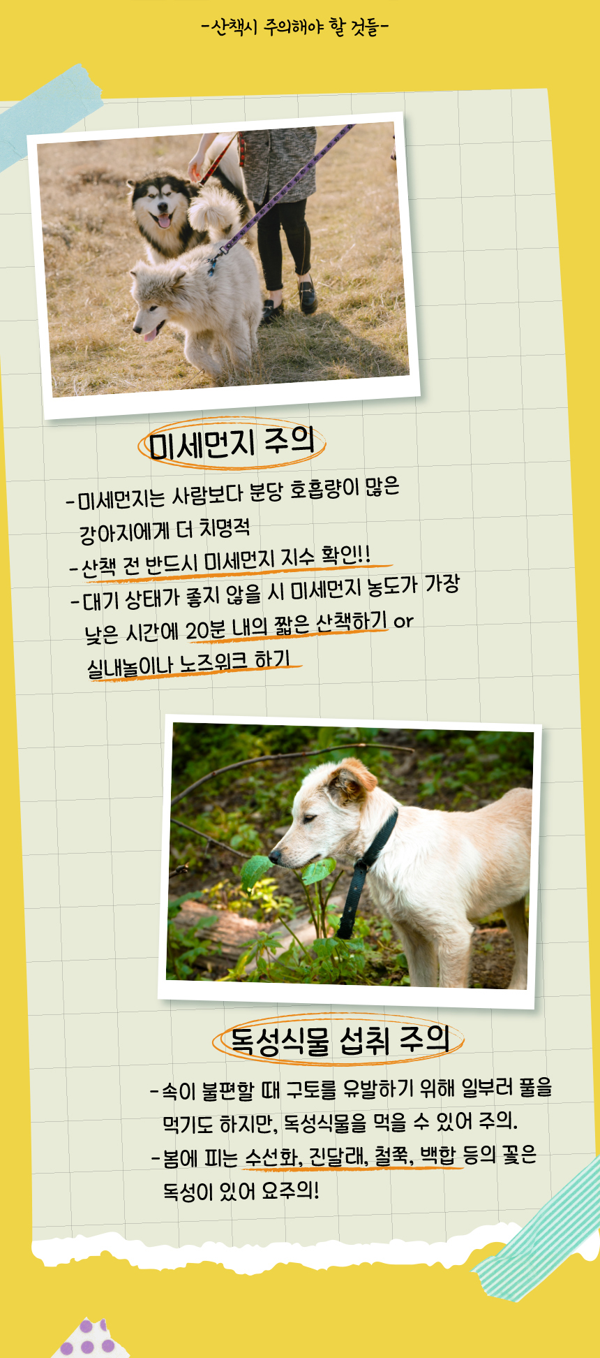 [무료배송] 애구애구 트로피칼 숏스커트 블루/옐로우/핑크  XS-XL 9번째