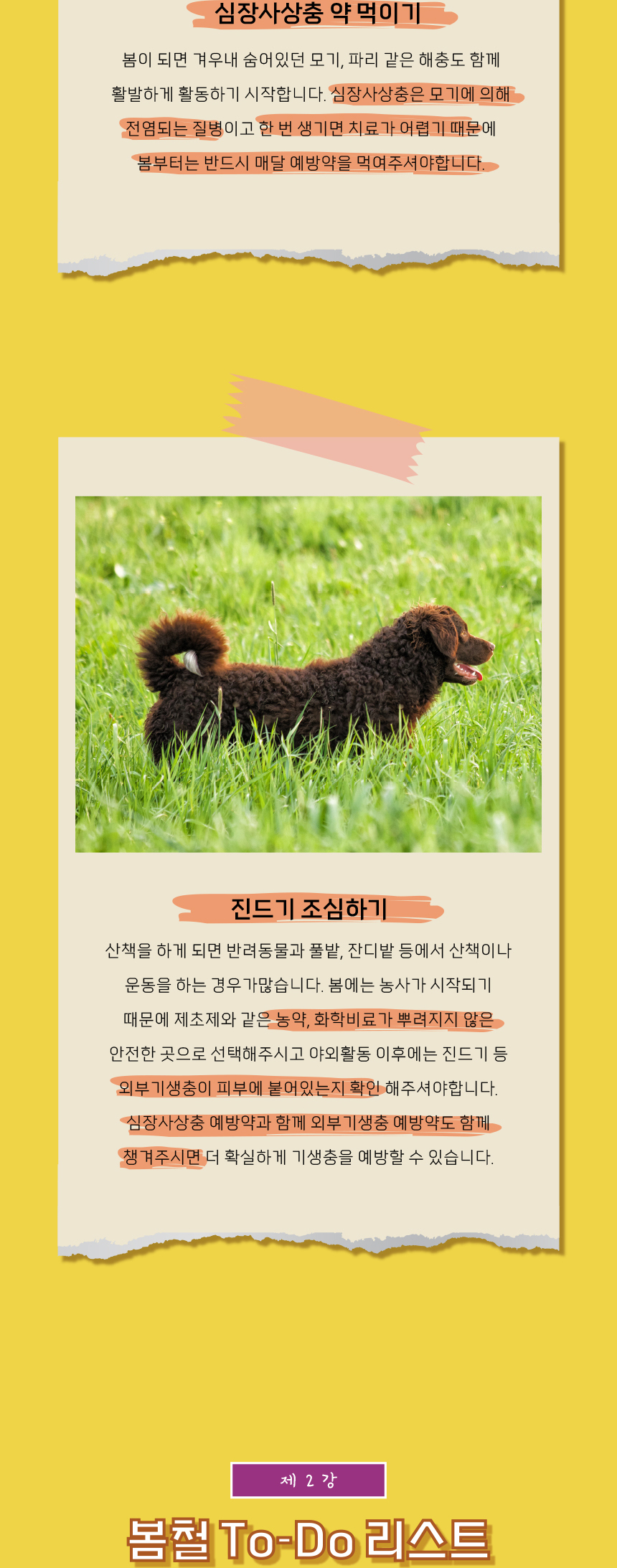 [무료배송] 애구애구 트로피칼 숏스커트 블루/옐로우/핑크  XS-XL 8번째