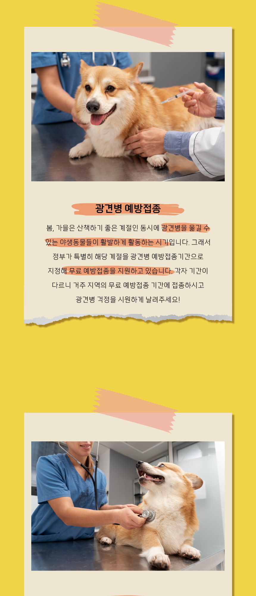 [무료배송] 애구애구 트로피칼 숏스커트 블루/옐로우/핑크  XS-XL 7번째
