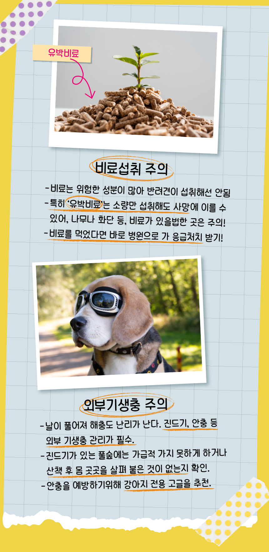 [무료배송] 애구애구 트로피칼 숏스커트 블루/옐로우/핑크  XS-XL 10번째