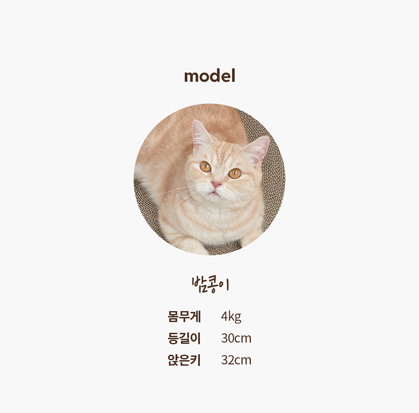 [무료배송] 두잇 캣 라운드 테이블 하우스 8번째