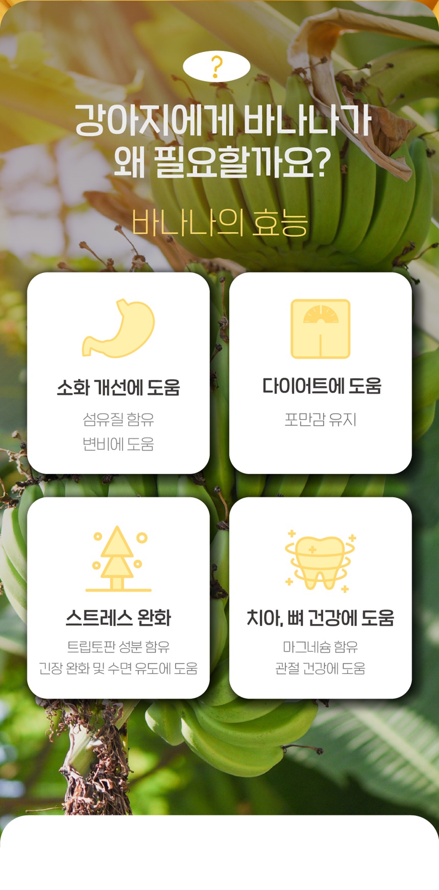 [무료배송] 슈퍼포우 독 덴탈 바나나츄 XS-L 8번째