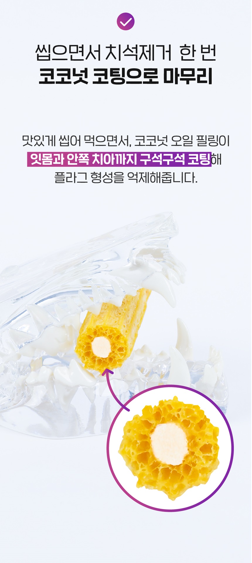[무료배송] 슈퍼포우 독 덴탈 바나나츄 XS-L 17번째