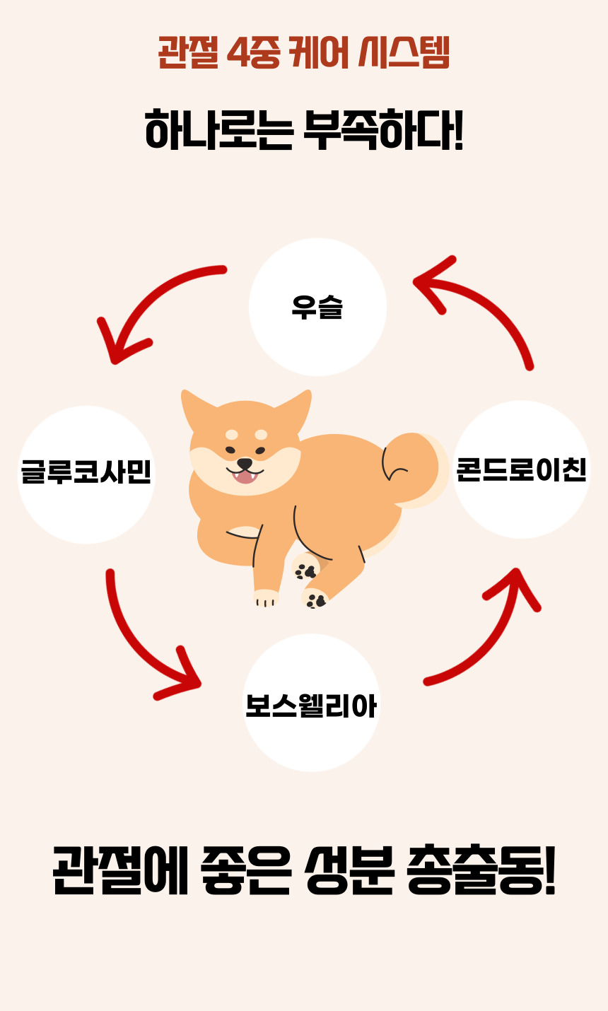 [NEW신상][무료배송] 댕그래 조인트플러스 100g 9번째