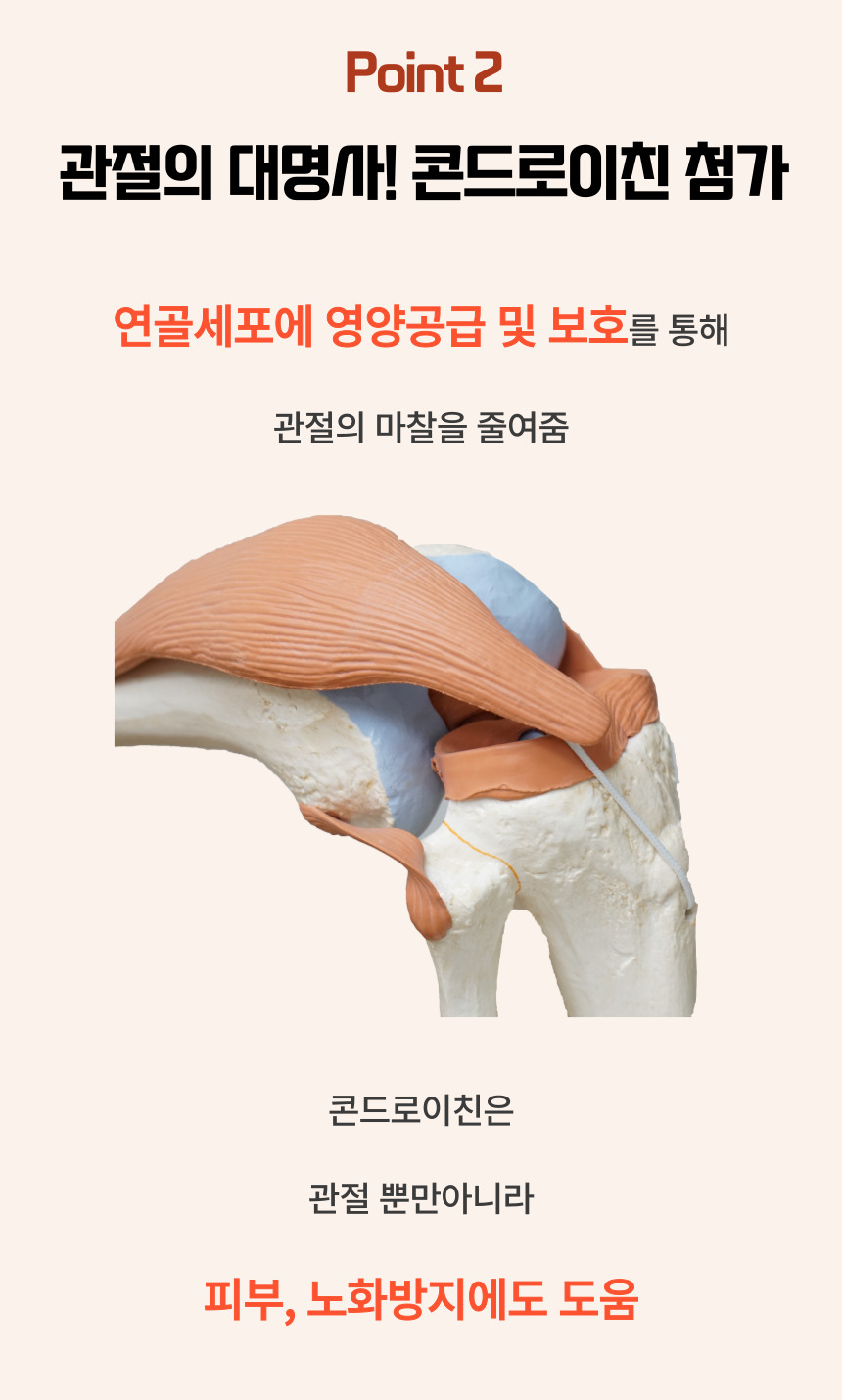 [NEW신상][무료배송] 댕그래 조인트플러스 100g 13번째