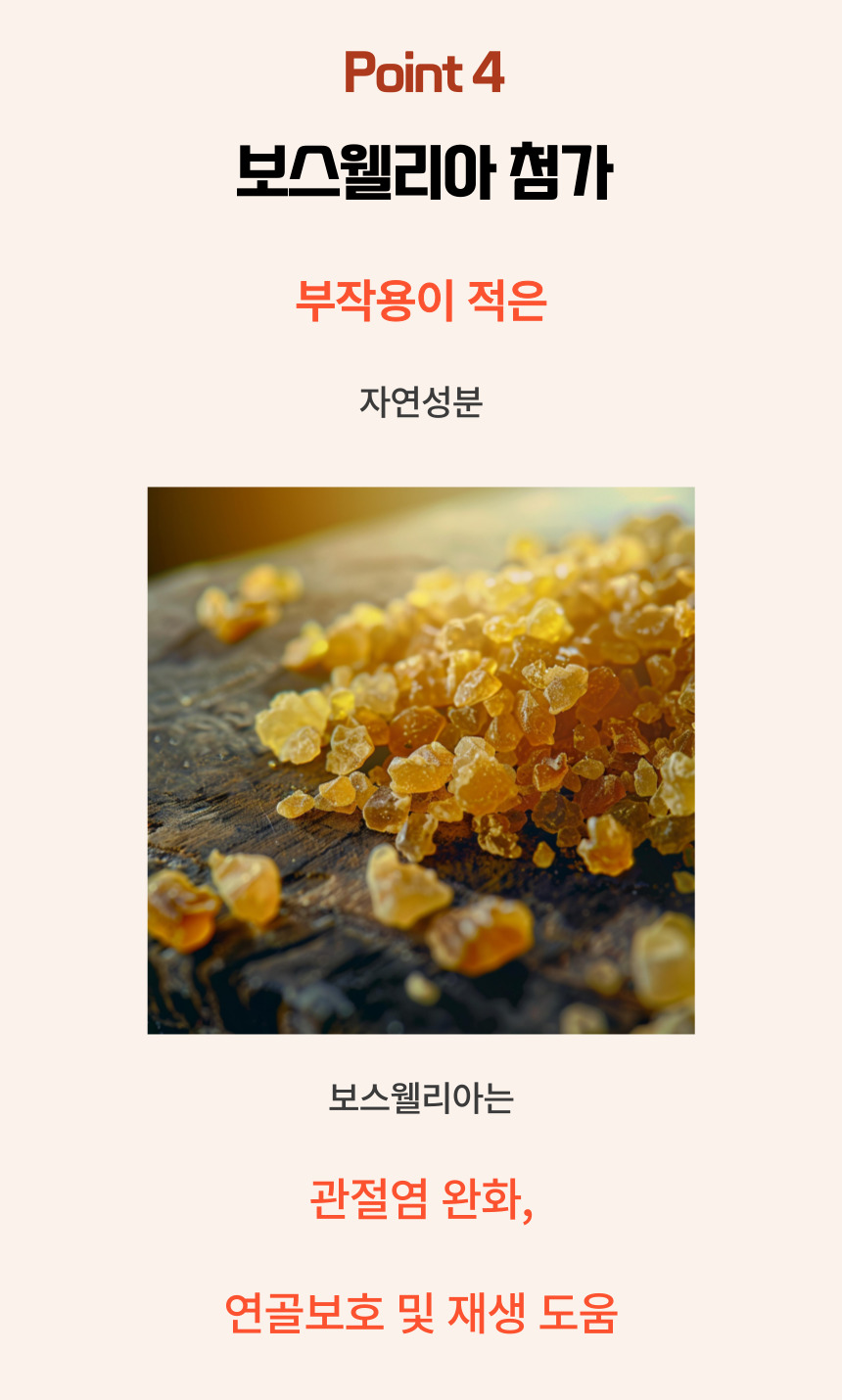 [NEW신상][무료배송] 댕그래 조인트플러스 100g 15번째