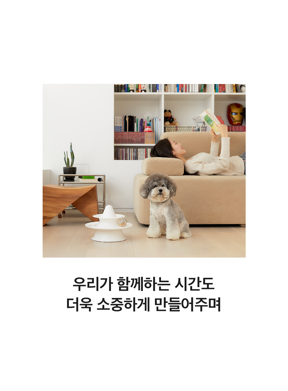 모브 트라이앵글 먹이퍼즐 블루 37번째