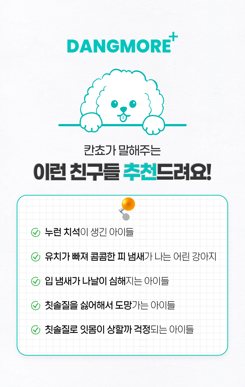 [무료배송] 댕모어 덴탈클리너 120ml  6번째