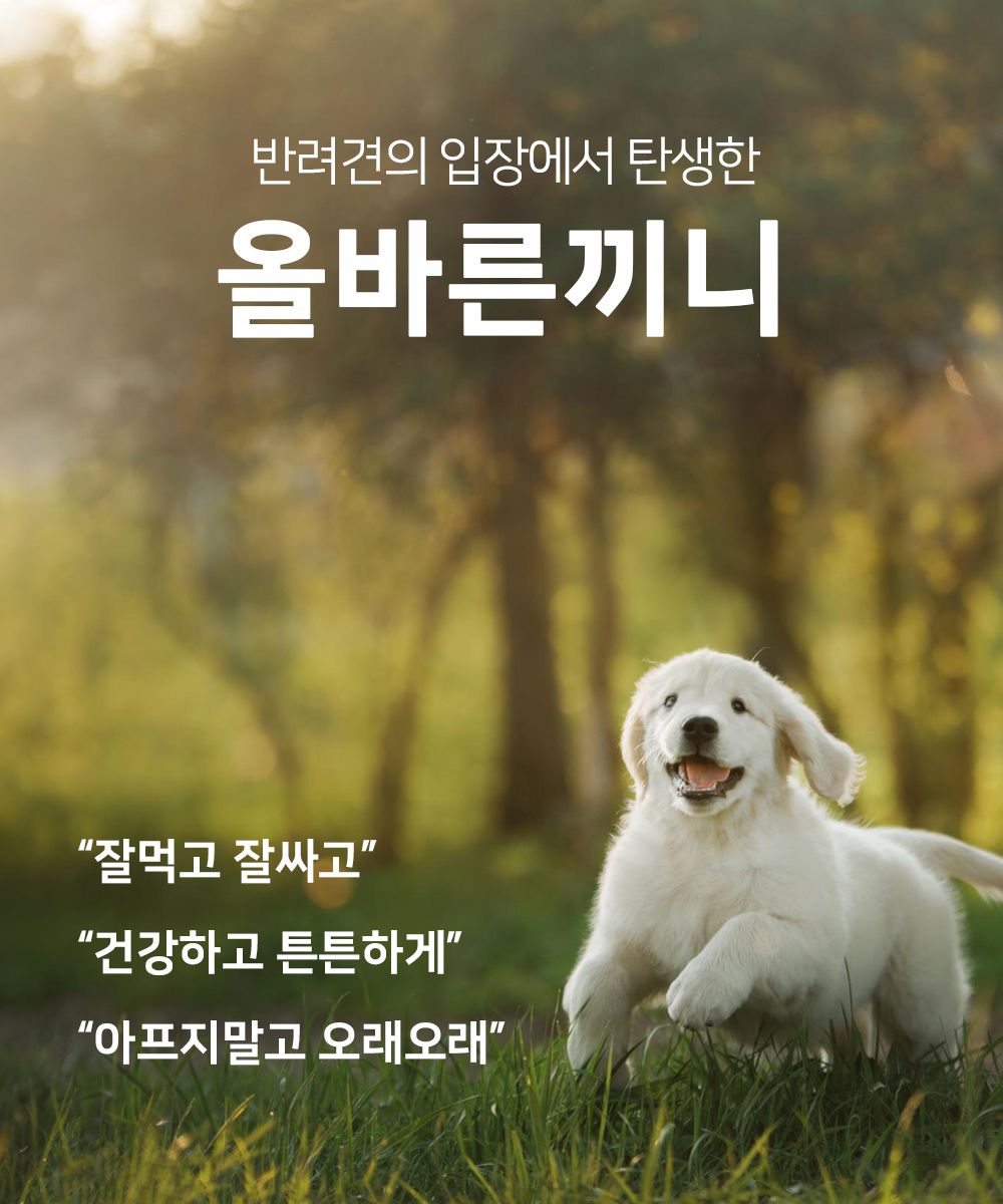 올바른끼니 독 플러스 소고기&초록입홍합 관절건강 1.2kg 15번째