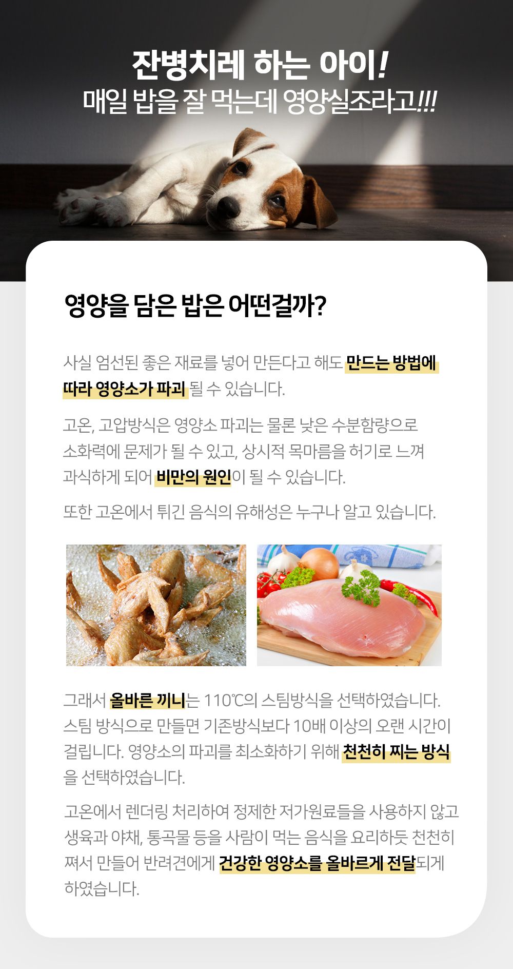 올바른끼니 독 플러스 소고기&초록입홍합 관절건강 1.2kg 12번째