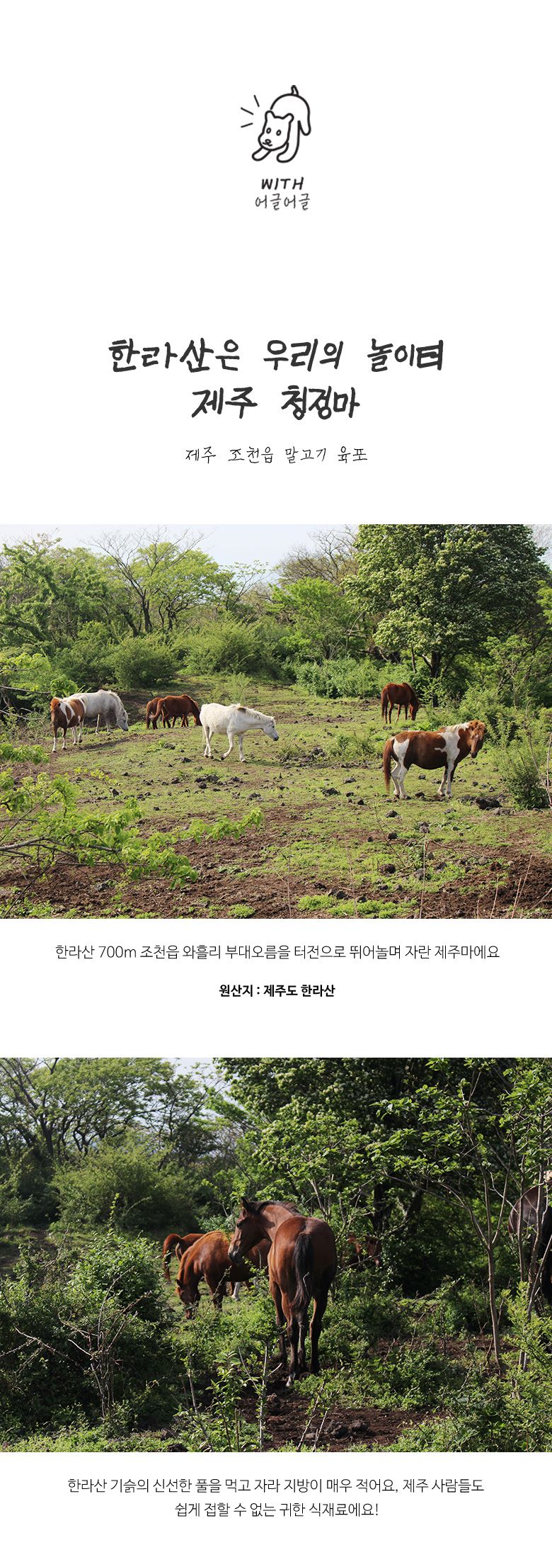 [무료배송] 어글어글 독 VALUE PACK 제주 청정 말고기 육포 50g*5개입 2번째