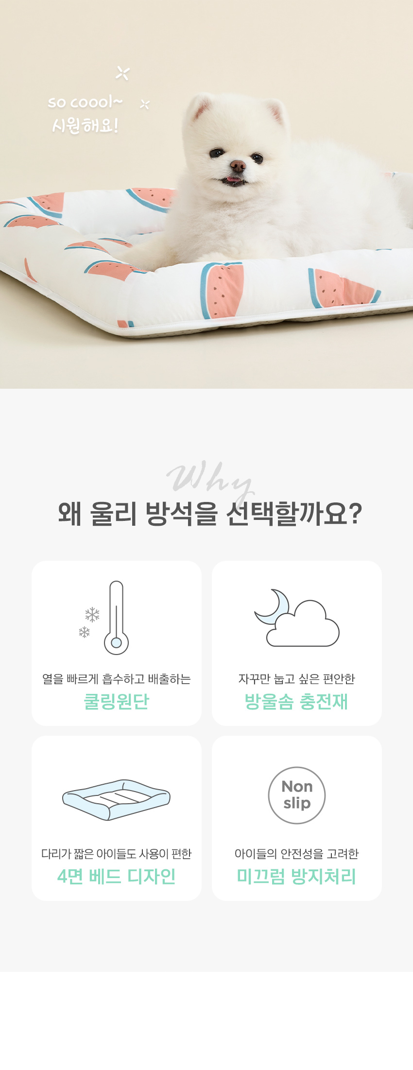 [무료배송] 울리 달콤수박 프레임 쿨링방석 S-L 2번째